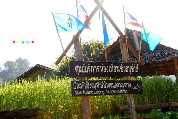 นาขั้นบันได นาขั้นบันได