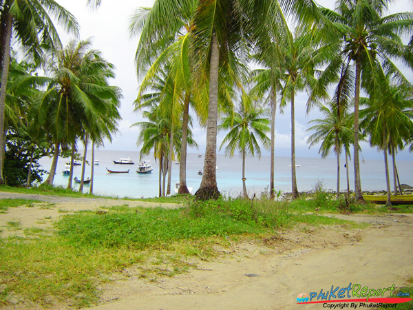 ภูเก็ต ภูเก็ต