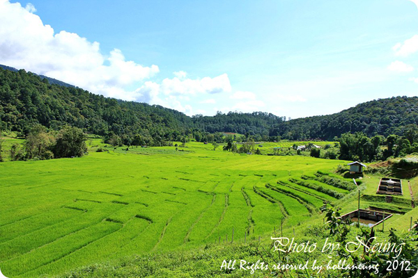 นาขั้นบันได นาขั้นบันได