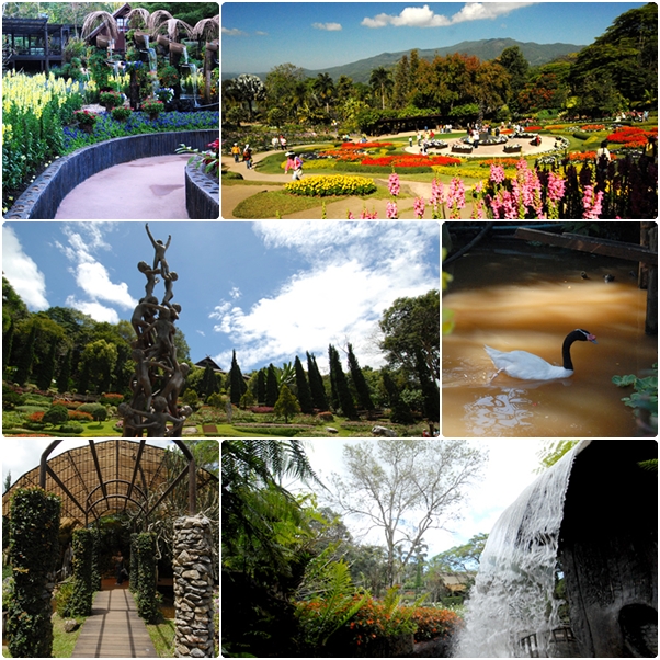 สวนแม่ฟ้าหลวง สวนแม่ฟ้าหลวง