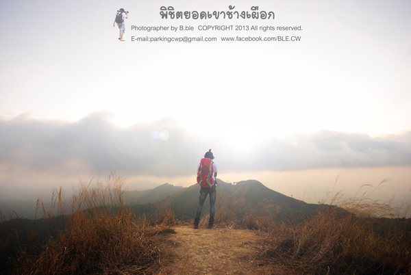 เขาช้างเผือก เขาช้างเผือก