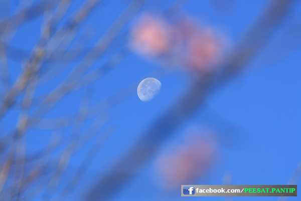 ภูลมโล ภูลมโล