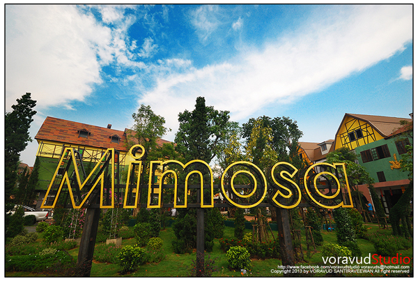 มิโมซ่า พัทยา มิโมซ่า พัทยา