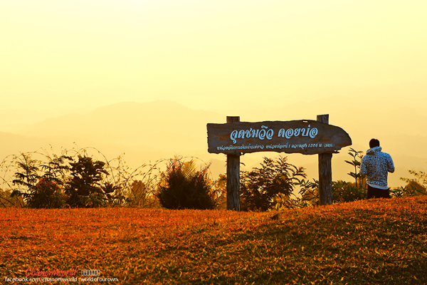 ดอยบ่อ เชียงราย ดอยบ่อ เชียงราย