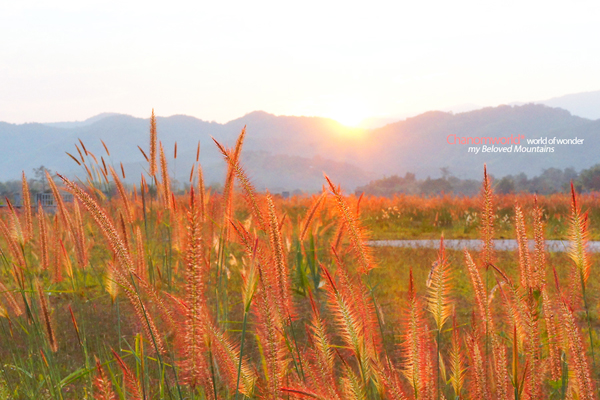 ดอยบ่อ เชียงราย ดอยบ่อ เชียงราย