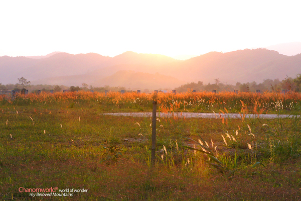 ดอยบ่อ เชียงราย ดอยบ่อ เชียงราย