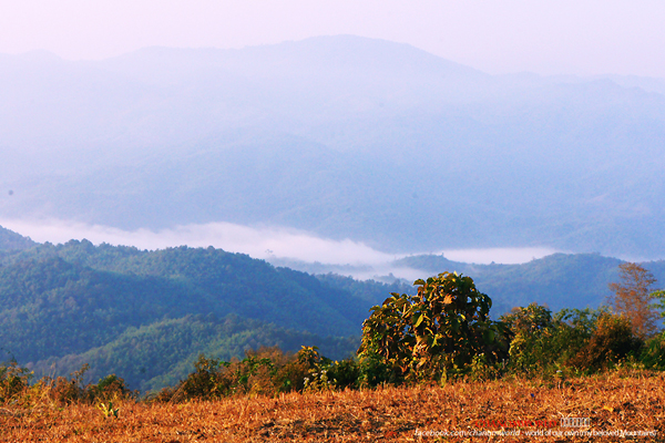 ดอยบ่อ เชียงราย ดอยบ่อ เชียงราย