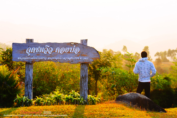 ดอยบ่อ เชียงราย ดอยบ่อ เชียงราย