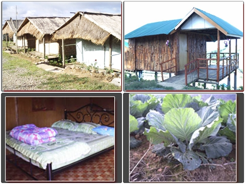 ที่พักภูทับเบิก ที่พักภูทับเบิก