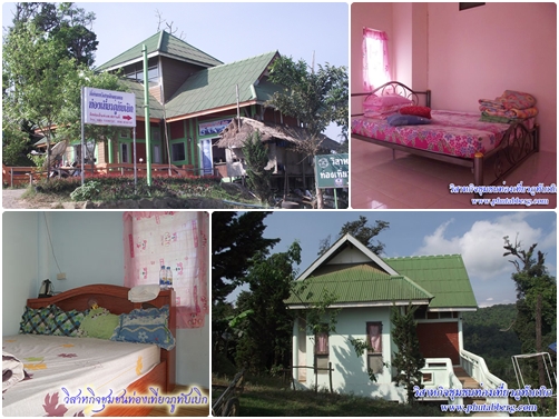 ที่พักภูทับเบิก ที่พักภูทับเบิก