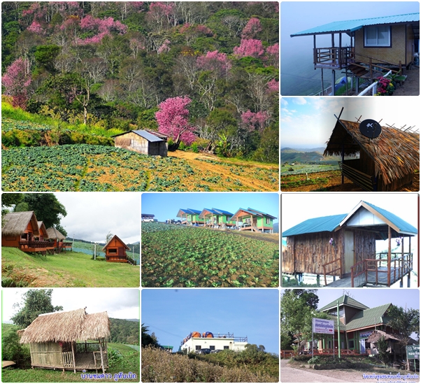 ที่พักภูทับเบิก ที่พักภูทับเบิก
