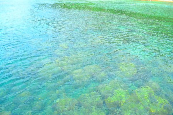 เกาะช้าง เกาะช้าง