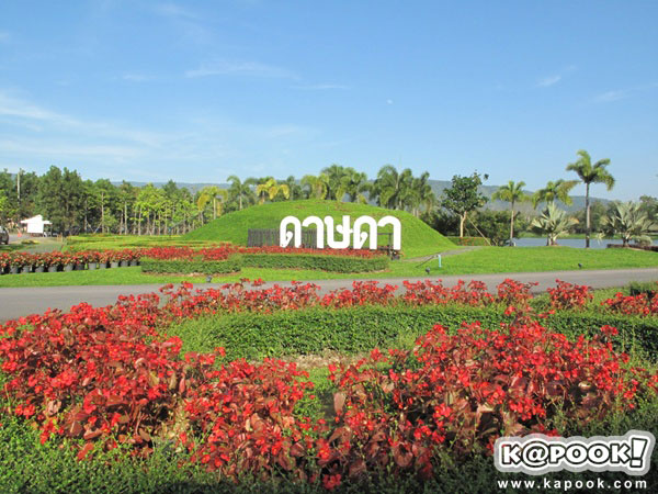 ดาษดา ดาษดา แกลลอรี่