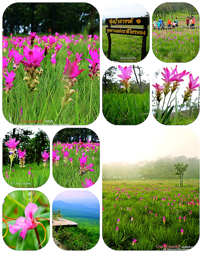 ท่องเที่ยวไทย ท่องเที่ยวไทย