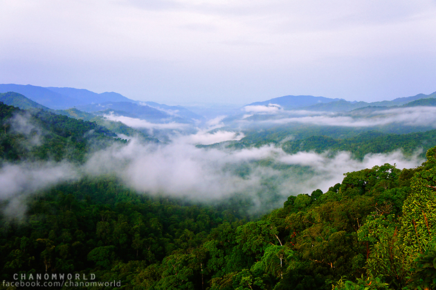 ท่องเที่ยวไทย ท่องเที่ยวไทย