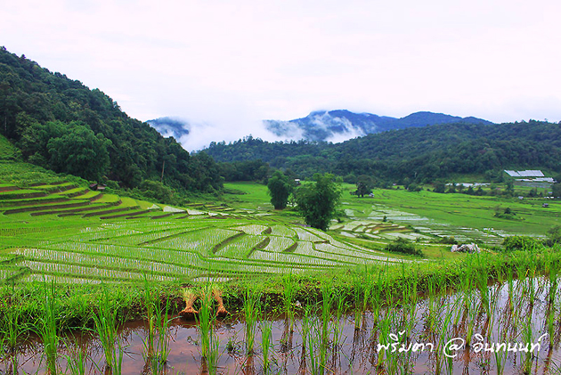 ท่องเที่ยวไทย ท่องเที่ยวไทย
