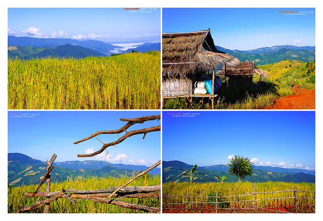 ท่องเที่ยวไทย ท่องเที่ยวไทย