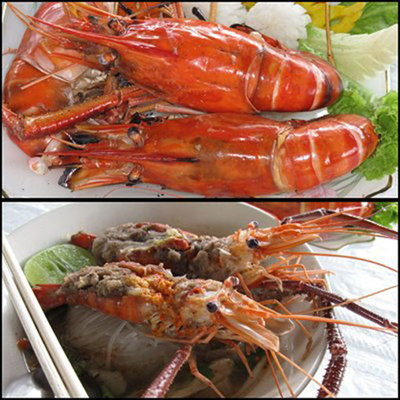 งานเทศกาลกินกุ้งแม่น้ำแม่กลอง 2556 งานเทศกาลกินกุ้งแม่น้ำแม่กลอง 2556