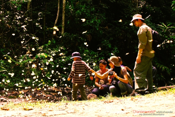 แก่งกระจาน แก่งกระจาน