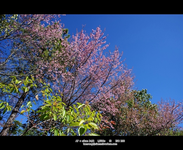 เชียงใหม่ เชียงใหม่