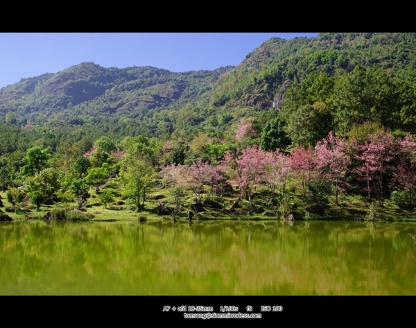 เชียงใหม่ เชียงใหม่