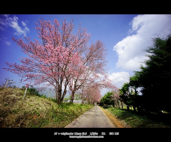 เชียงใหม่ เชียงใหม่