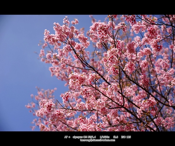 เชียงใหม่ เชียงใหม่