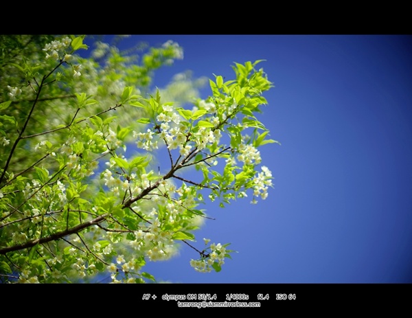 เชียงใหม่ เชียงใหม่