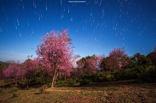 ภูลมโล ภูลมโล
