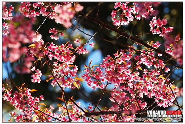 ขุนช่างเคี่ยน ขุนช่างเคี่ยน