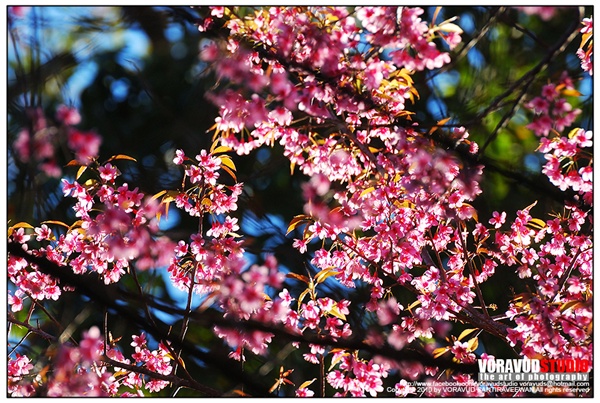 ขุนช่างเคี่ยน ขุนช่างเคี่ยน