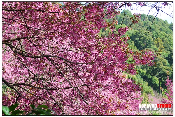 ขุนช่างเคี่ยน ขุนช่างเคี่ยน