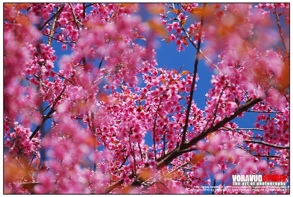 ขุนช่างเคี่ยน ขุนช่างเคี่ยน