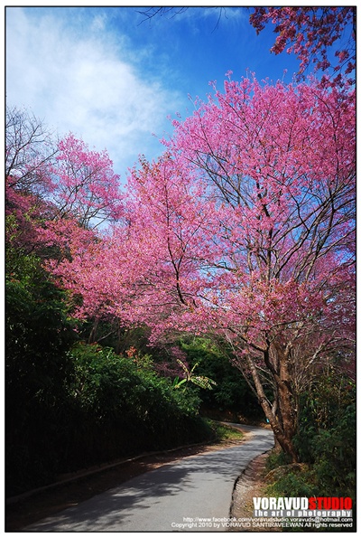 ขุนช่างเคี่ยน ขุนช่างเคี่ยน