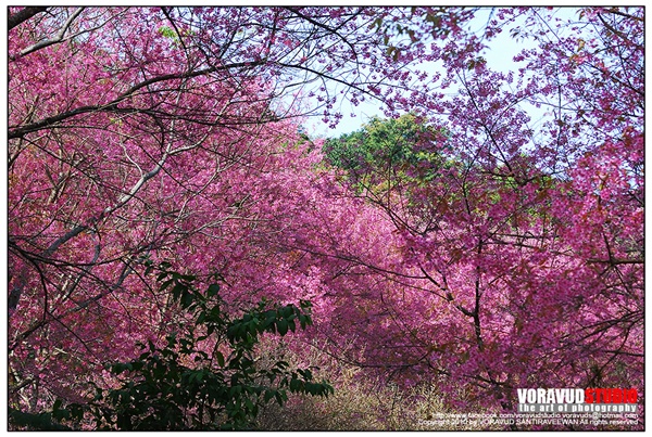 ขุนช่างเคี่ยน ขุนช่างเคี่ยน