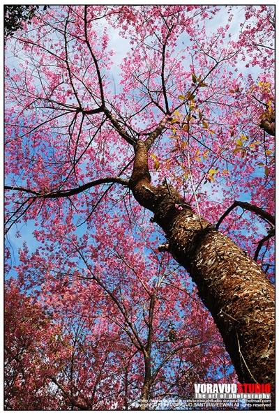 ขุนช่างเคี่ยน ขุนช่างเคี่ยน