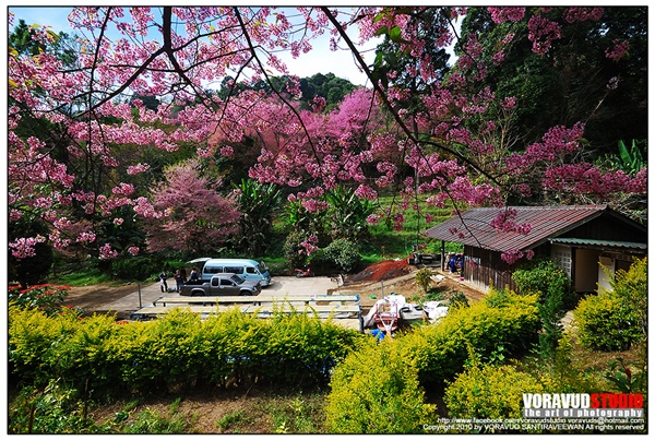 ขุนช่างเคี่ยน ขุนช่างเคี่ยน