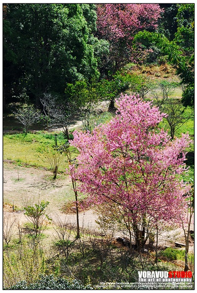 ขุนช่างเคี่ยน ขุนช่างเคี่ยน