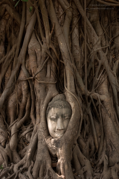 วัดมหาธาตุ วัดมหาธาตุ