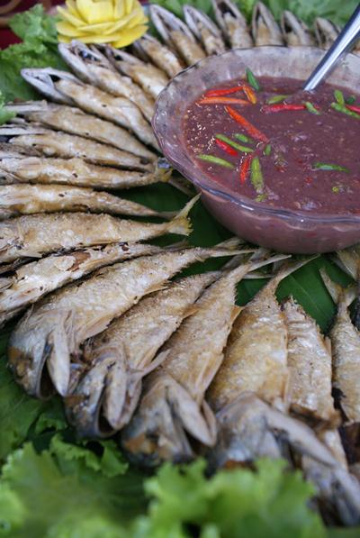 เทศกาลกินปลาทูแม่กลอง เทศกาลกินปลาทูแม่กลอง