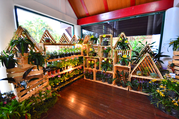 งานโครงการหลวง 2556 งานโครงการหลวง 2556