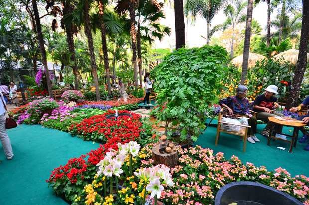 งานโครงการหลวง 2556 งานโครงการหลวง 2556