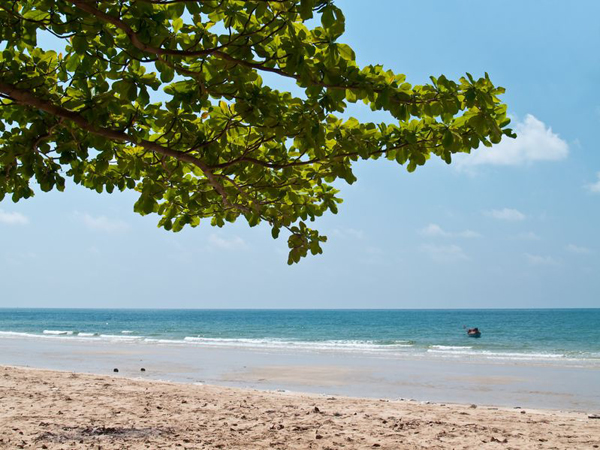 หาดเจ้าหลาว หาดเจ้าหลาว