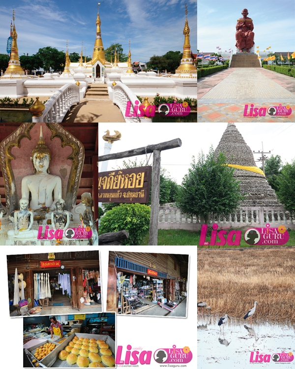 ปทุมธานี ปทุมธานี