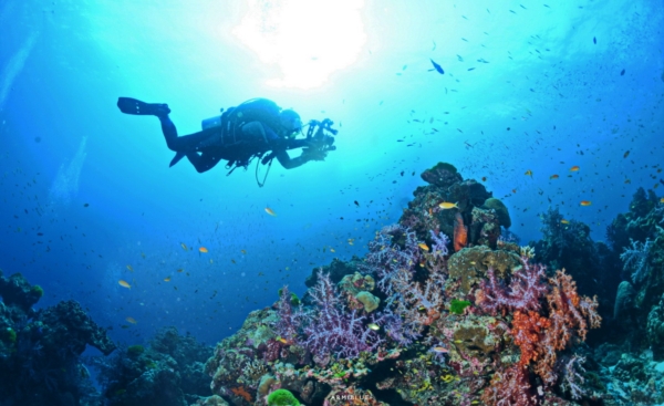 scuba diver scuba diver