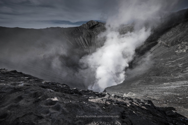 Bromo Bromo