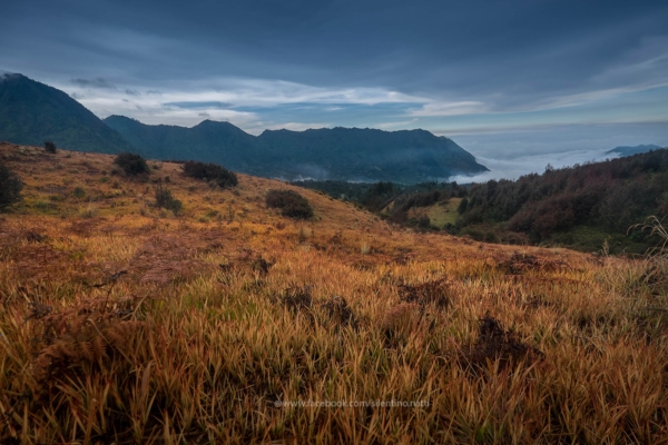 Cemoro Lawang Cemoro Lawang