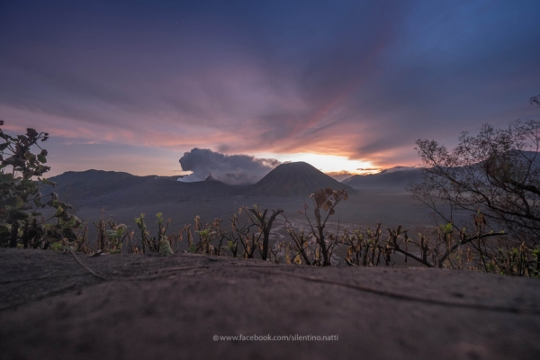 Bromo Permai I Bromo Permai I