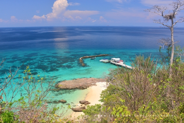 เกาะไม้ท่อน เกาะไม้ท่อน