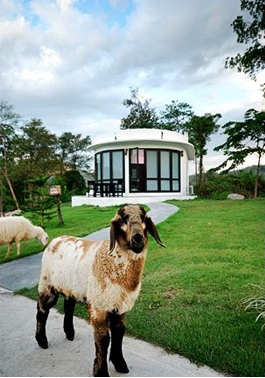 ที่พักสไตล์เมืองนอก ที่พักสไตล์เมืองนอก